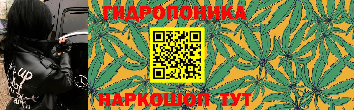Каннабис Amnesia  Каннабис Amnesia  Вход с VPN  Конопля LSD WEED  Котлас 